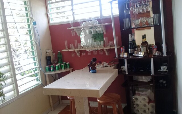 Harvie Paradise