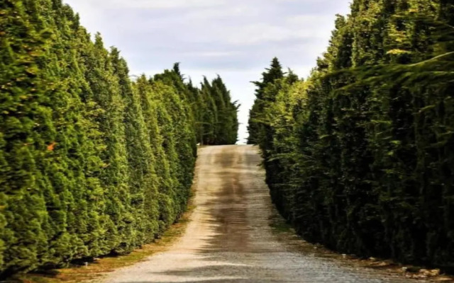 Tranquil Lakeside Stay for 4 Guests