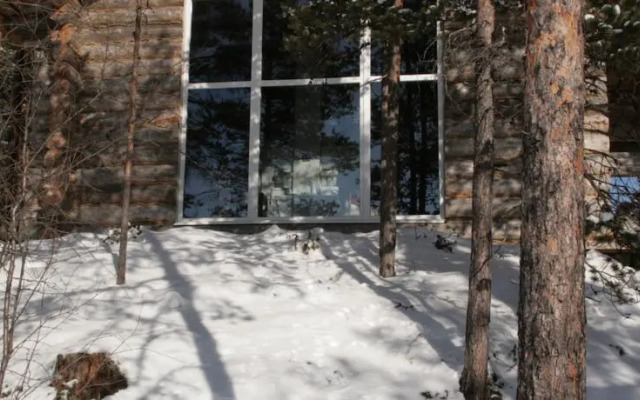 Сияние Севера