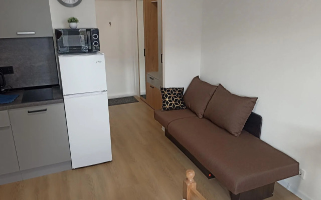 Уютные апартаменты на проспекте Маркса 99/3