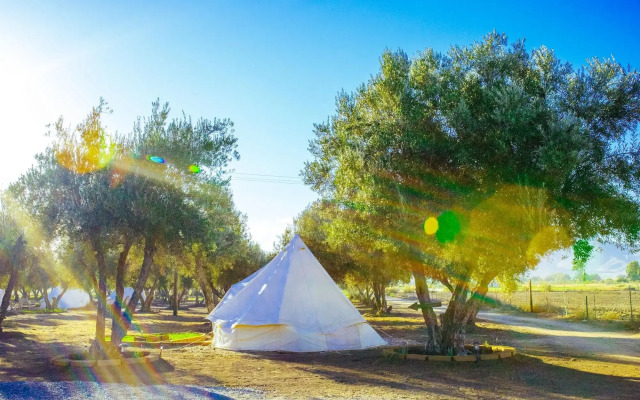 Guadalupe Valle Glamping