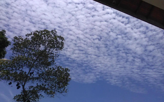 The Breeze Pinnawala Homestay