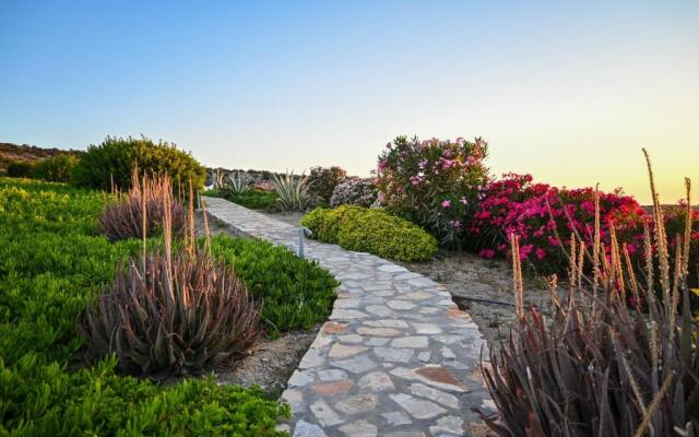 Schinoza Luxury Suites