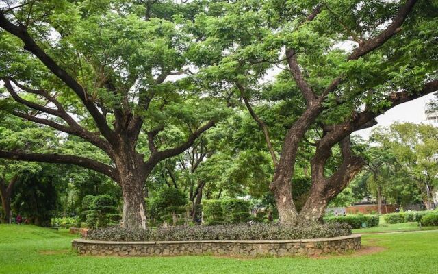 OYO 42768 Sai International