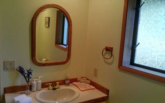 Sunshine Coast Treetop Wonderland