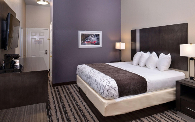 Best Western Boerne Inn & Suites