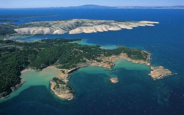 Apartments Jelena 2889