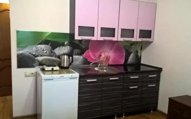 Na Vinogradnoj