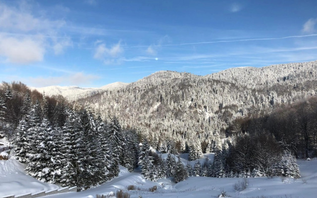 Apartments Vila Nina