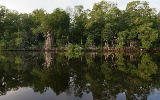 Hotel Acuatic Sports El Canal Chocohuital