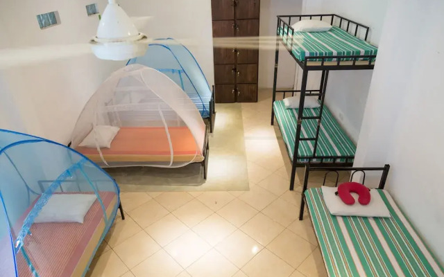 Dream Lanka Surf House