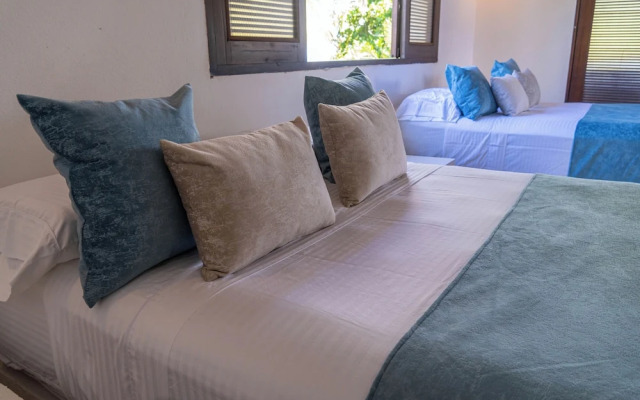 coconuco beach palomino