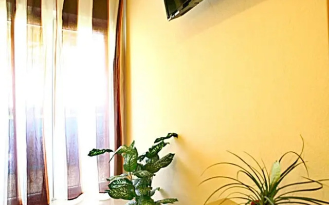 Studios Ruza