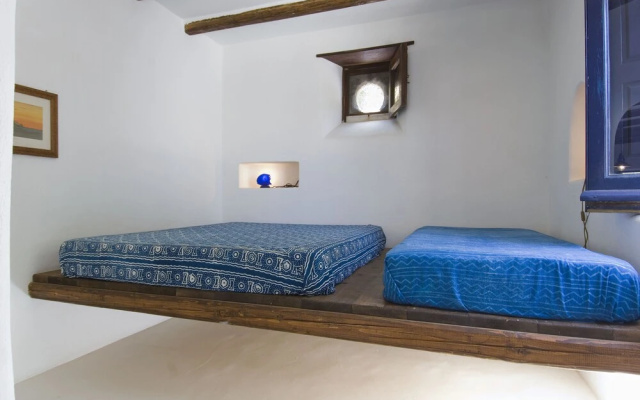 L'ulivo di Pollara