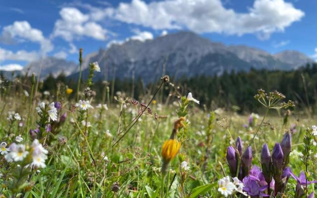 Suite Home Mittenwald