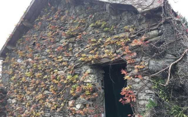 Clone House
