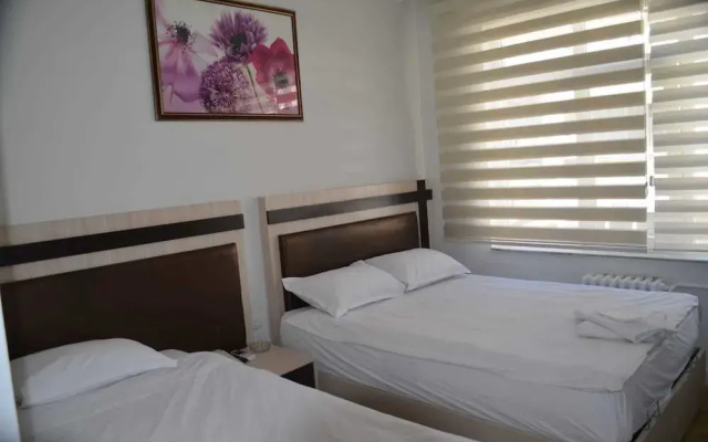 Has otel