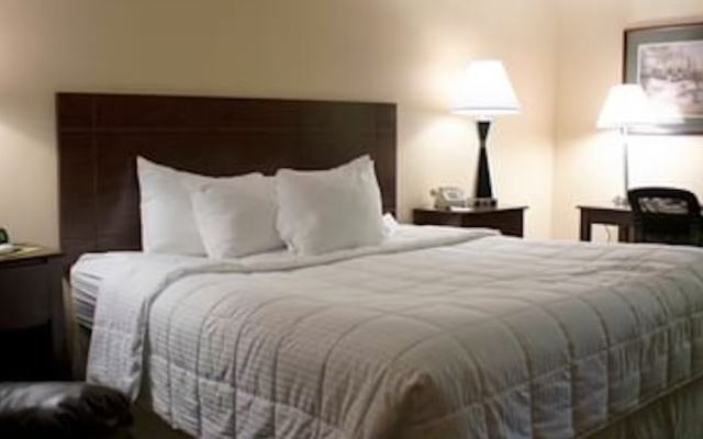 MCM Grande Hotel FunDome Odessa