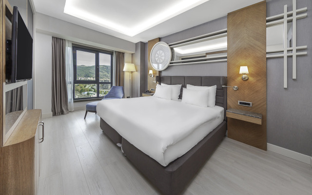 Dedeman Tokat