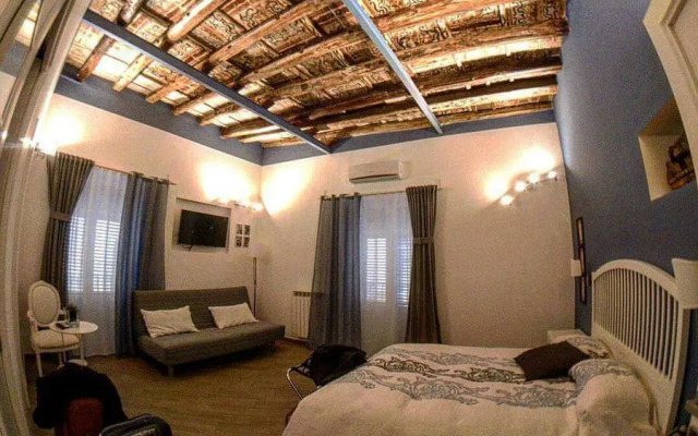 Novelli 36