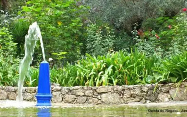 Quinta do Regato