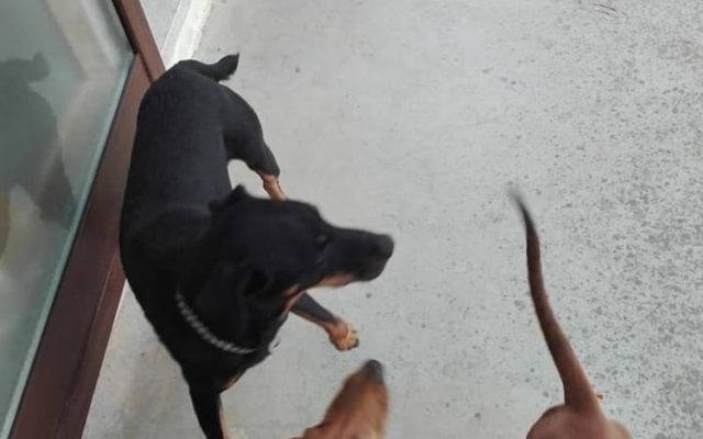 Bioagriturismo Sofia