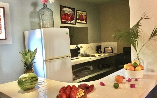 Gorgeous Apartments RG Vallarta