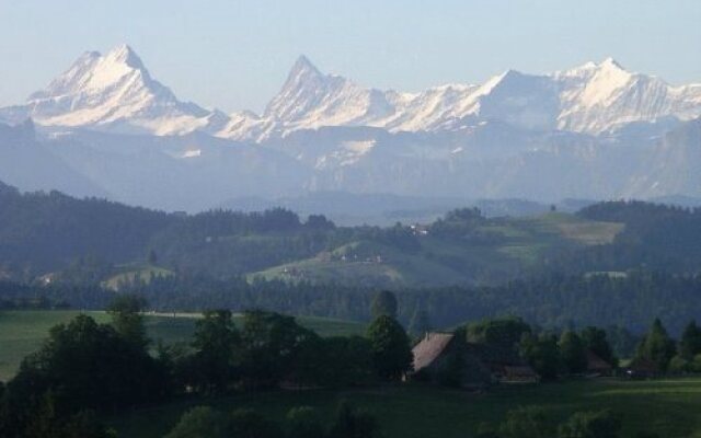 Hotel Restaurant Koi-Gartenteich