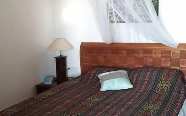 Lazy Lizard Boutique-Hotel