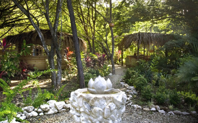 Hotel Tropico Latino