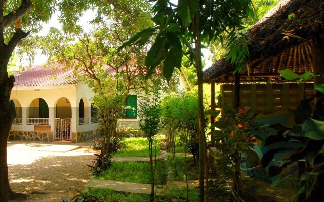 Jamboland-Diani