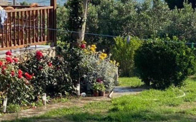 Poyraz Ada Evi