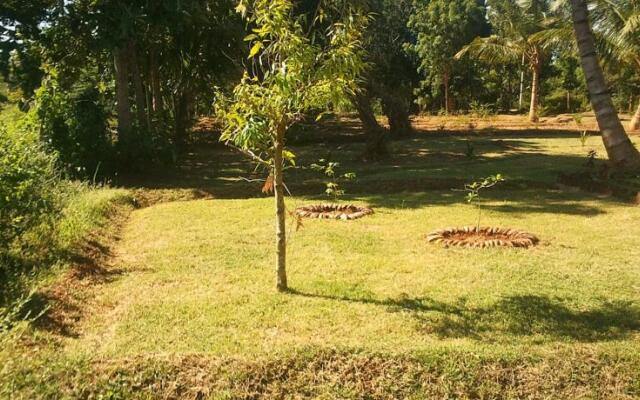 Yala Eco Tree House