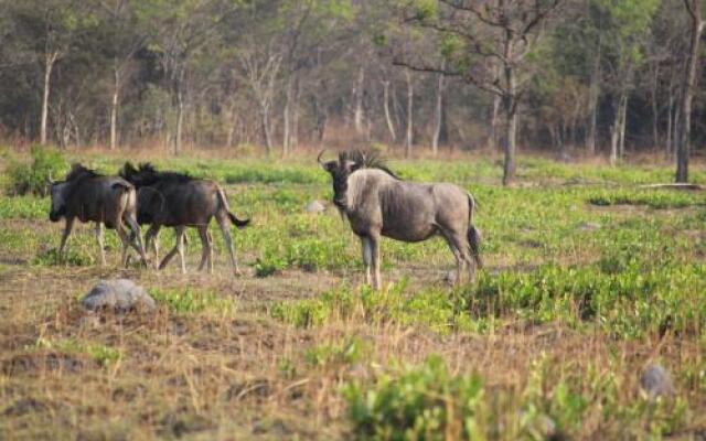 Chaminuka Lodge and Nature Reserve