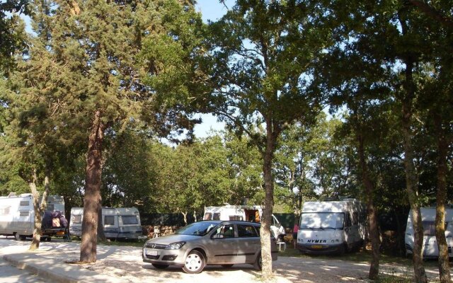 Villaggio Camping Bosco Selva