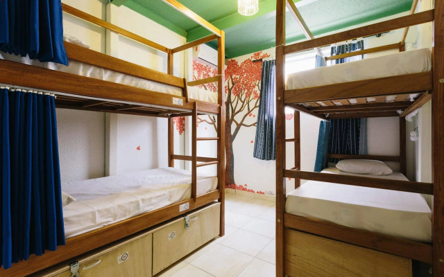 Local Hostel Manaus
