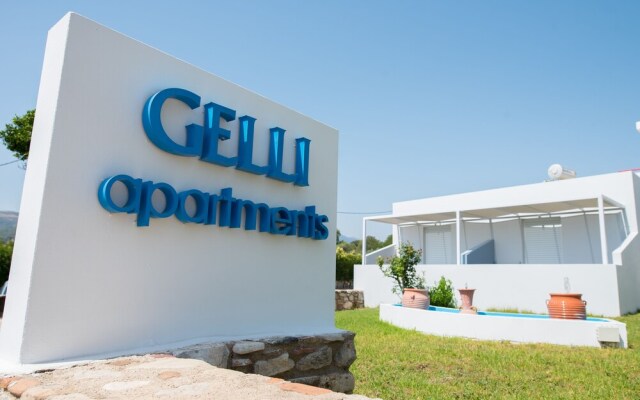 Gelli Apartments