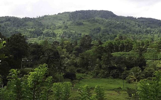 Yoho Sinharaja Birders Lodge