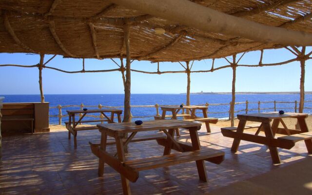 Viva Blue Resort and Diving Sharm El Naga (Adults Only)
