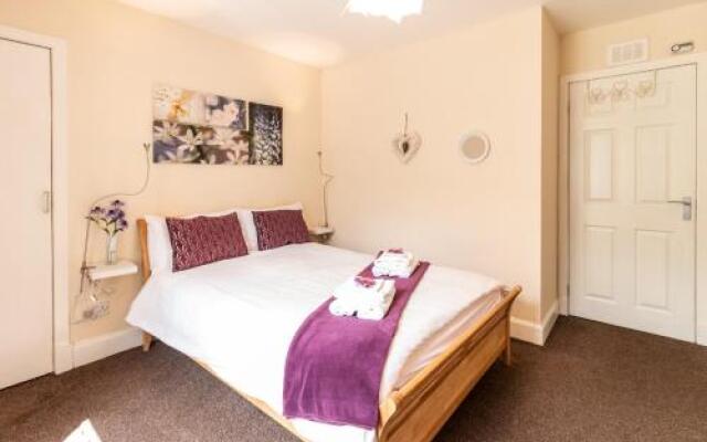 Mycosy Lorimer 17