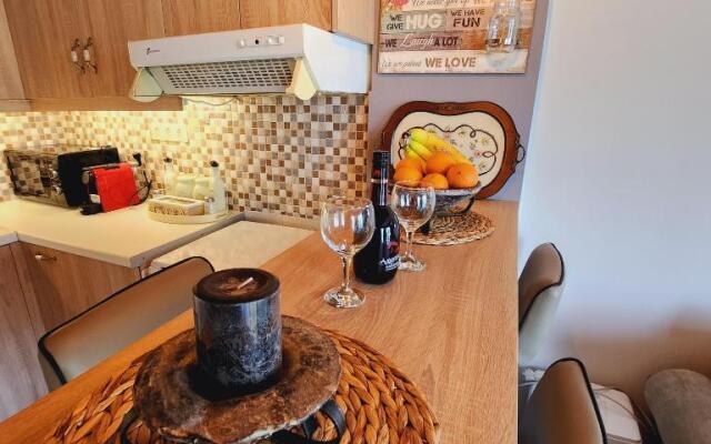 Stylish Luxury Loft Apartment Sofia