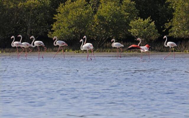 Bin Majid Flamingo Beach Resort