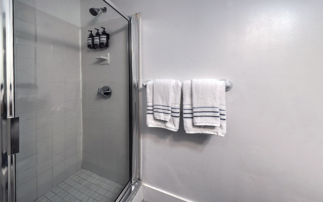 Modern Studio with Great Wifi and Amenities!