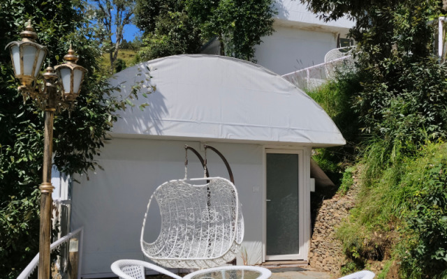 ECO-GLAMP
