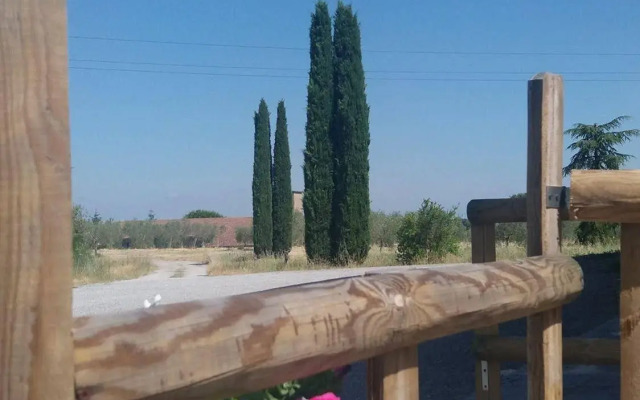 Il Ciliegio Errante
