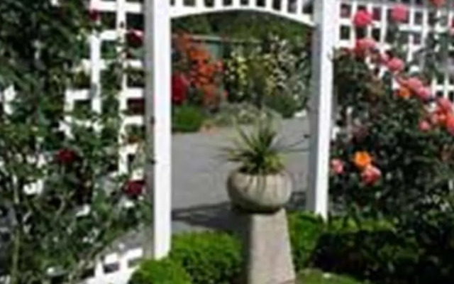 The Martinborough Connection