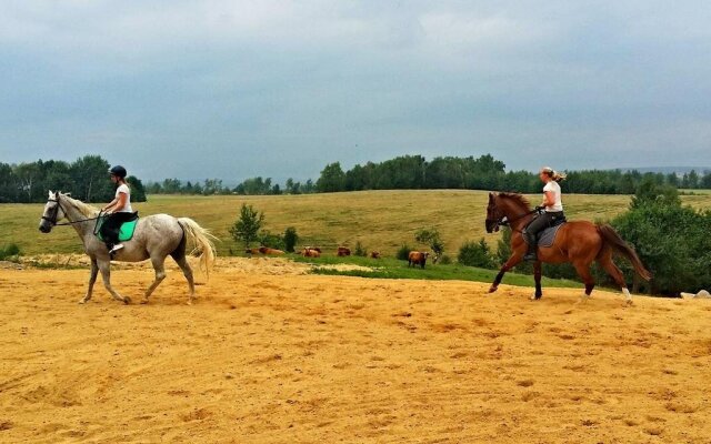 Zámecký Dvůr Černousy