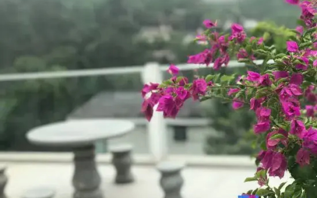 Pinshan Xiaozhu Homestay