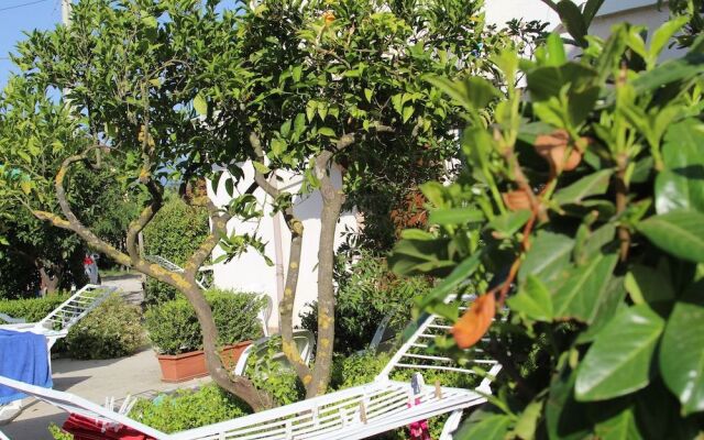 B&B Country House Il Grappolo