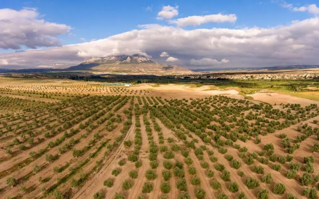 Cueva El Murallon Benamaurel